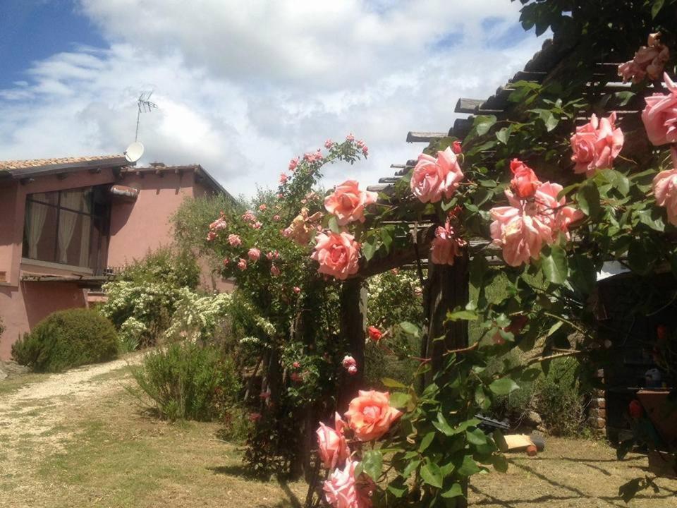 La Chiesuola Bed and Breakfast Bagnaia  Εξωτερικό φωτογραφία