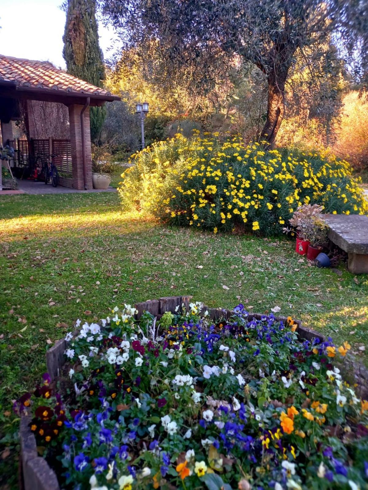 La Chiesuola Bed and Breakfast Bagnaia  Εξωτερικό φωτογραφία