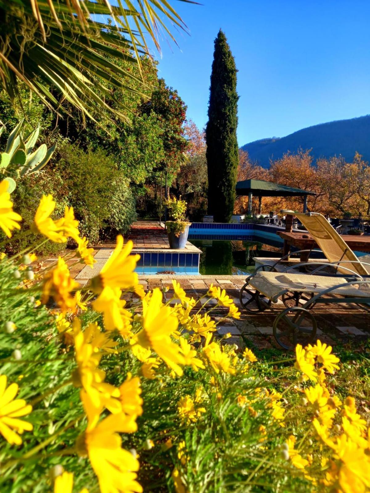 La Chiesuola Bed and Breakfast Bagnaia  Εξωτερικό φωτογραφία