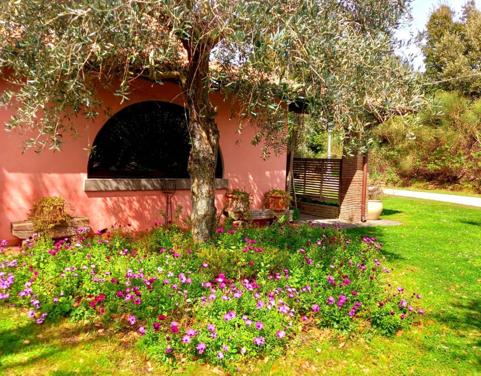 La Chiesuola Bed and Breakfast Bagnaia  Εξωτερικό φωτογραφία