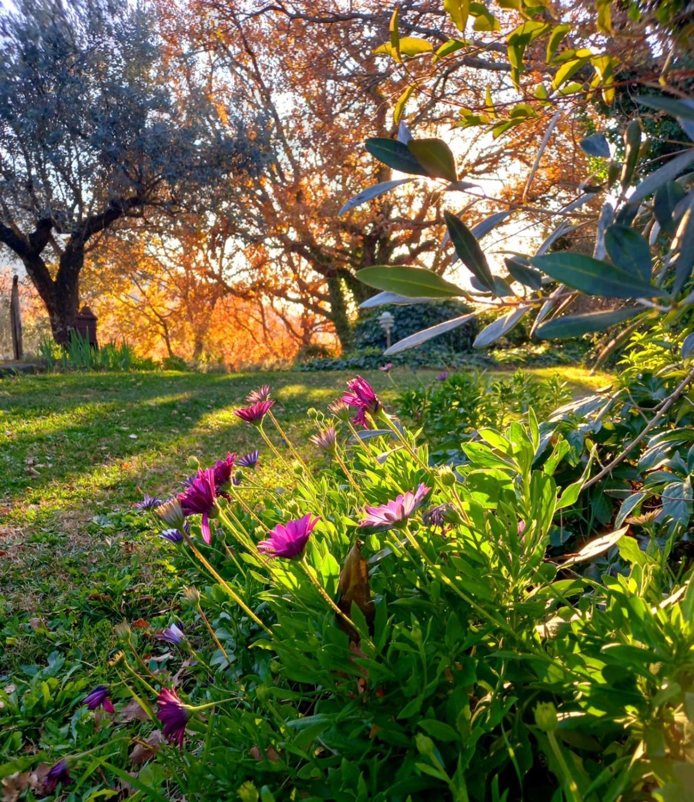 La Chiesuola Bed and Breakfast Bagnaia  Εξωτερικό φωτογραφία